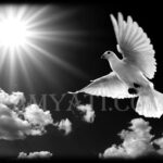 PamyatiKom-pixs##6